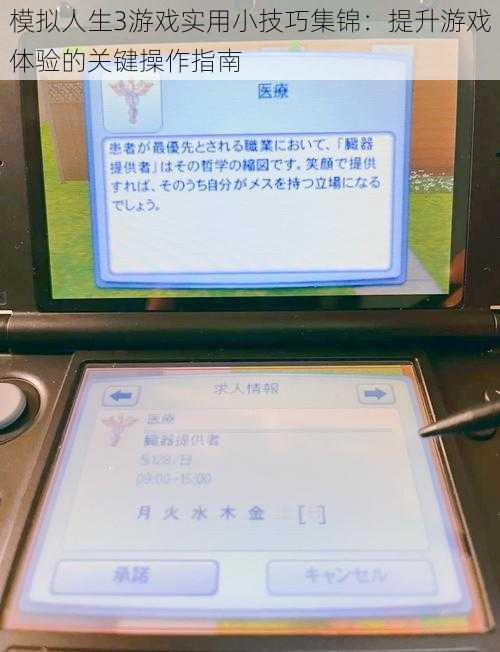 模拟人生3游戏实用小技巧集锦：提升游戏体验的关键操作指南