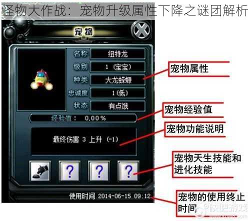 怪物大作战：宠物升级属性下降之谜团解析