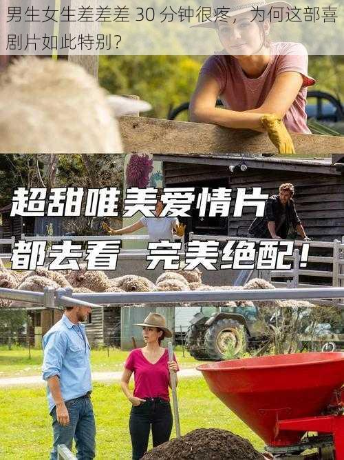 男生女生差差差 30 分钟很疼，为何这部喜剧片如此特别？