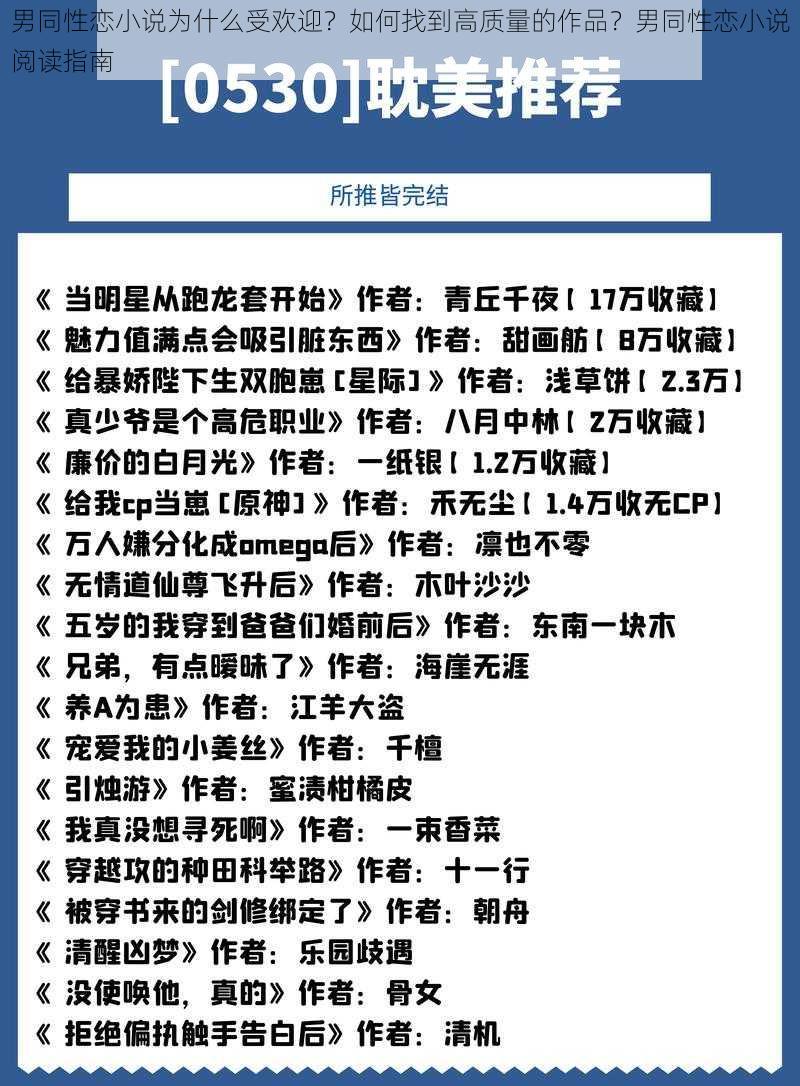 男同性恋小说为什么受欢迎？如何找到高质量的作品？男同性恋小说阅读指南