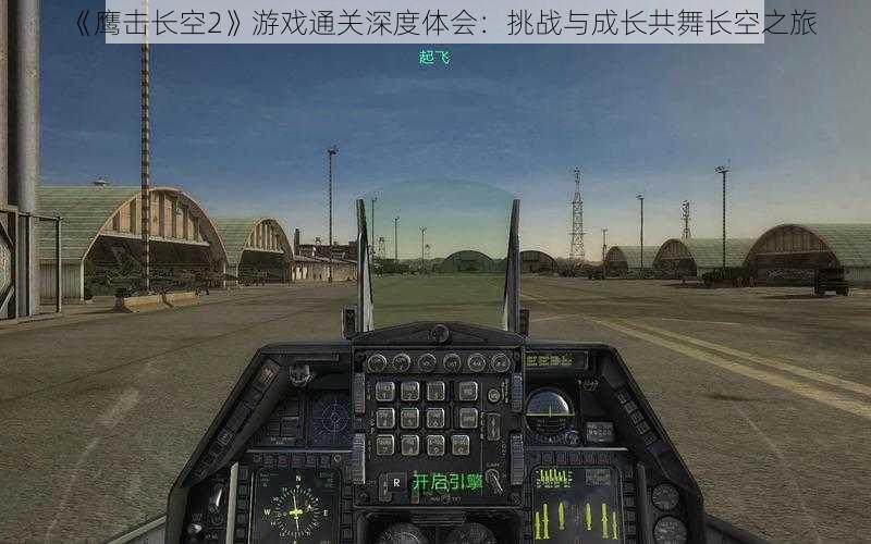 《鹰击长空2》游戏通关深度体会：挑战与成长共舞长空之旅