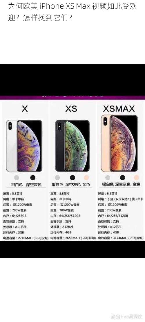 为何欧美 iPhone XS Max 视频如此受欢迎？怎样找到它们？