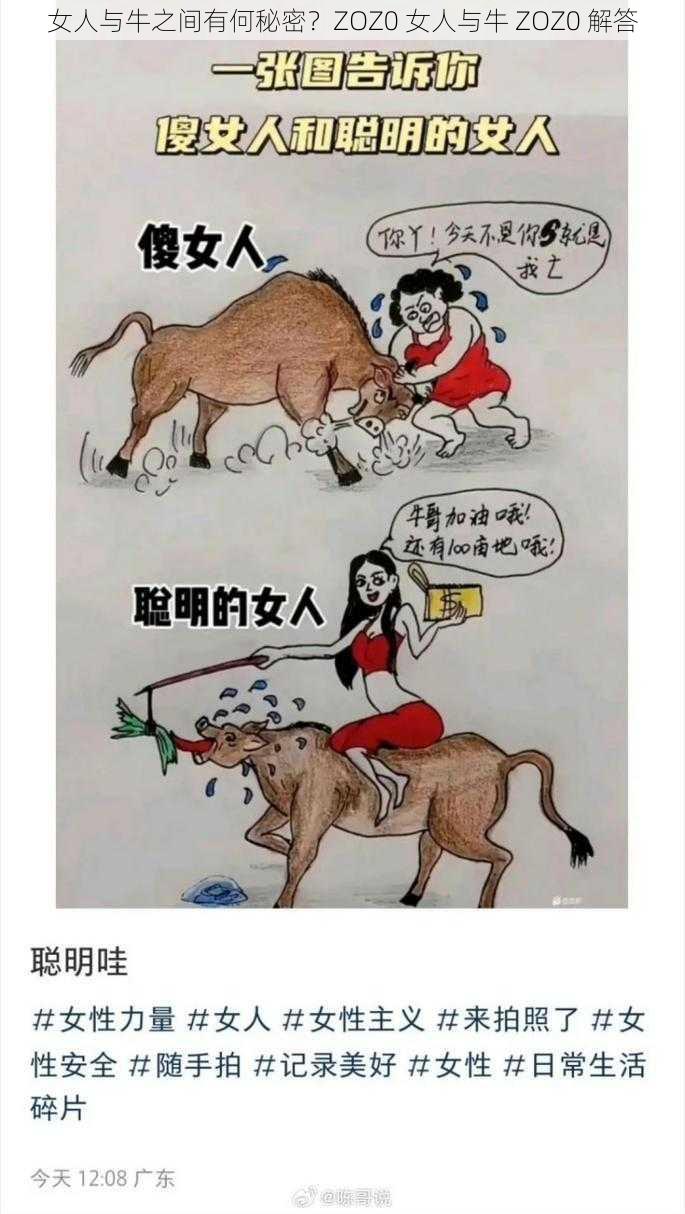 女人与牛之间有何秘密？ZOZ0 女人与牛 ZOZ0 解答