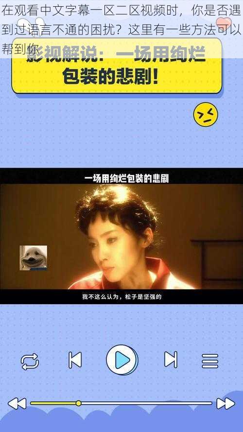 在观看中文字幕一区二区视频时，你是否遇到过语言不通的困扰？这里有一些方法可以帮到你
