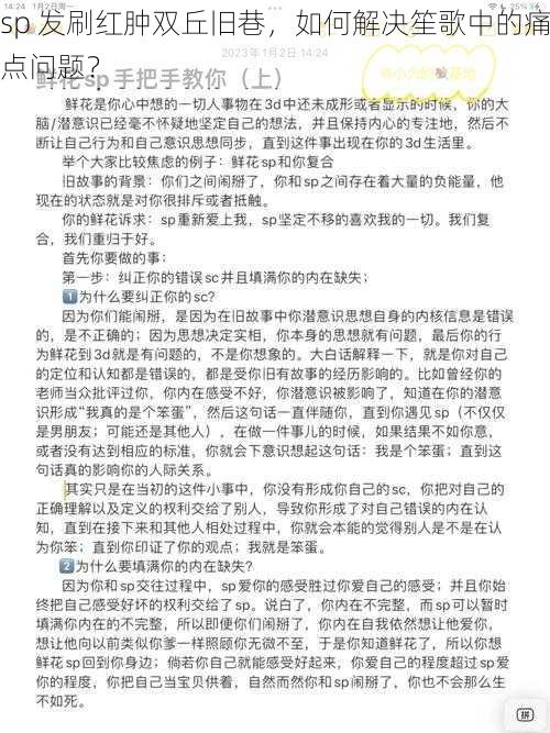 sp 发刷红肿双丘旧巷，如何解决笙歌中的痛点问题？