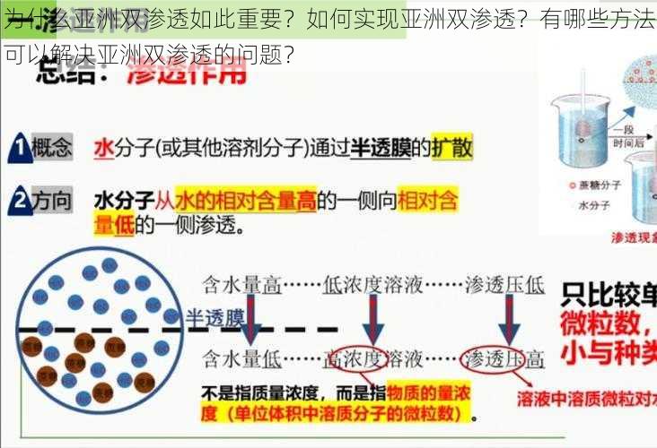 为什么亚洲双渗透如此重要？如何实现亚洲双渗透？有哪些方法可以解决亚洲双渗透的问题？