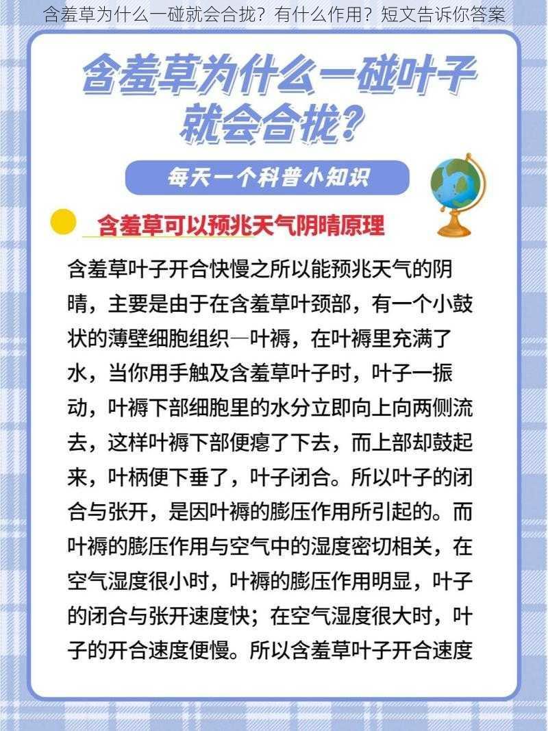 含羞草为什么一碰就会合拢？有什么作用？短文告诉你答案