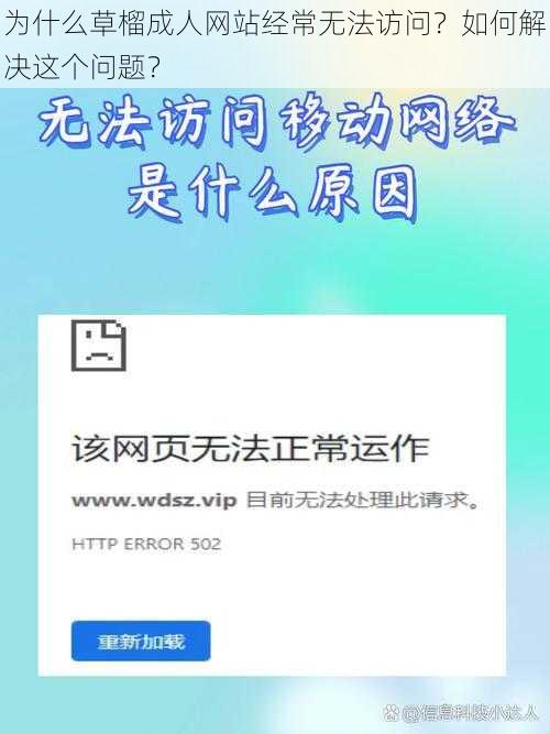 为什么草榴成人网站经常无法访问？如何解决这个问题？