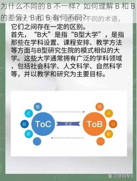 为什么不同的 B 不一样？如何理解 B 和 B 的差异？B 和 B 有何不同？