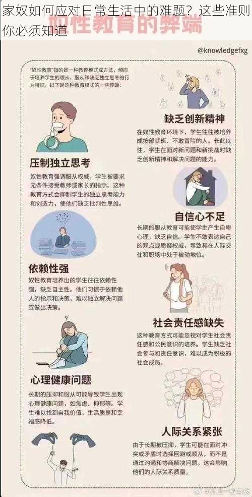 家奴如何应对日常生活中的难题？这些准则你必须知道