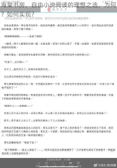 海棠书房，自由小说阅读的理想之选，为何？如何实现？