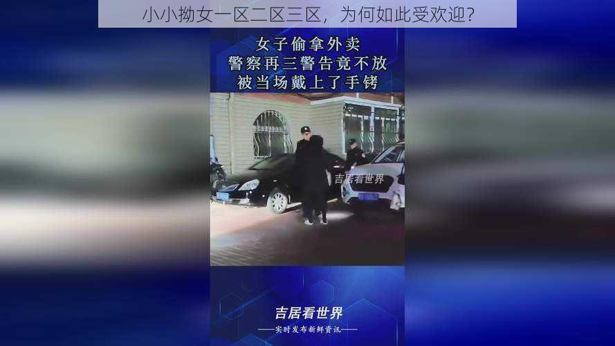 小小拗女一区二区三区，为何如此受欢迎？