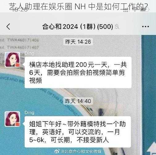 艺人助理在娱乐圈 NH 中是如何工作的？