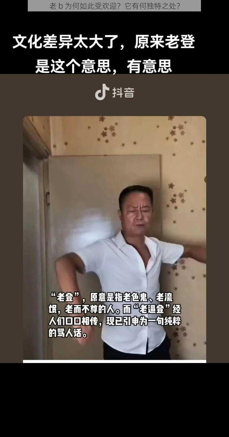 老 b 为何如此受欢迎？它有何独特之处？