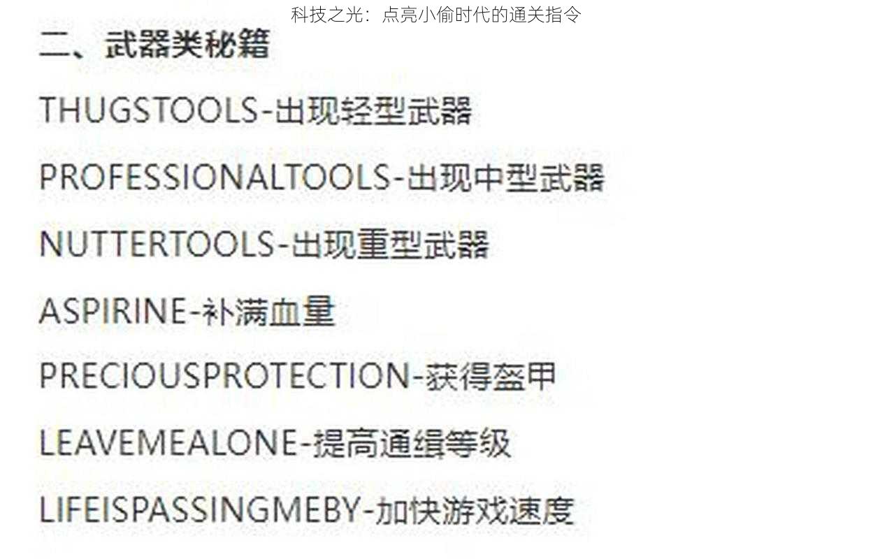 科技之光：点亮小偷时代的通关指令