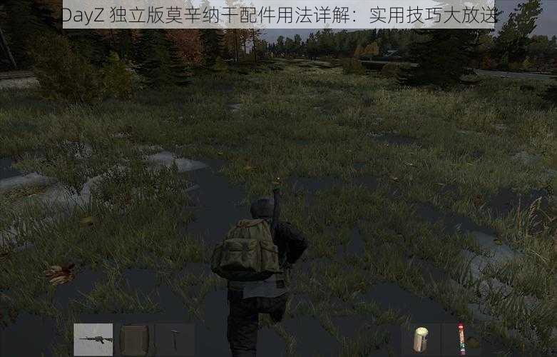 DayZ 独立版莫辛纳干配件用法详解：实用技巧大放送