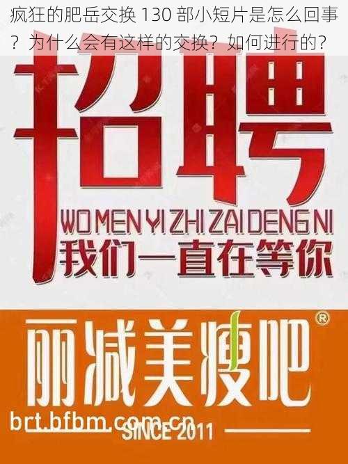 疯狂的肥岳交换 130 部小短片是怎么回事？为什么会有这样的交换？如何进行的？