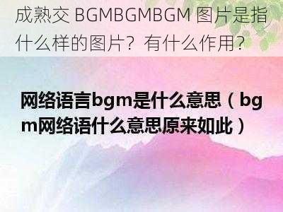 成熟交 BGMBGMBGM 图片是指什么样的图片？有什么作用？