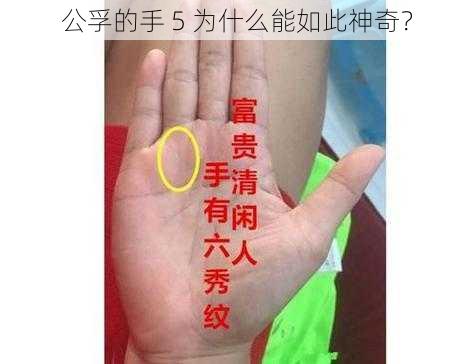 公孚的手 5 为什么能如此神奇？