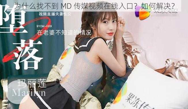 为什么找不到 MD 传媒视频在线入口？如何解决？