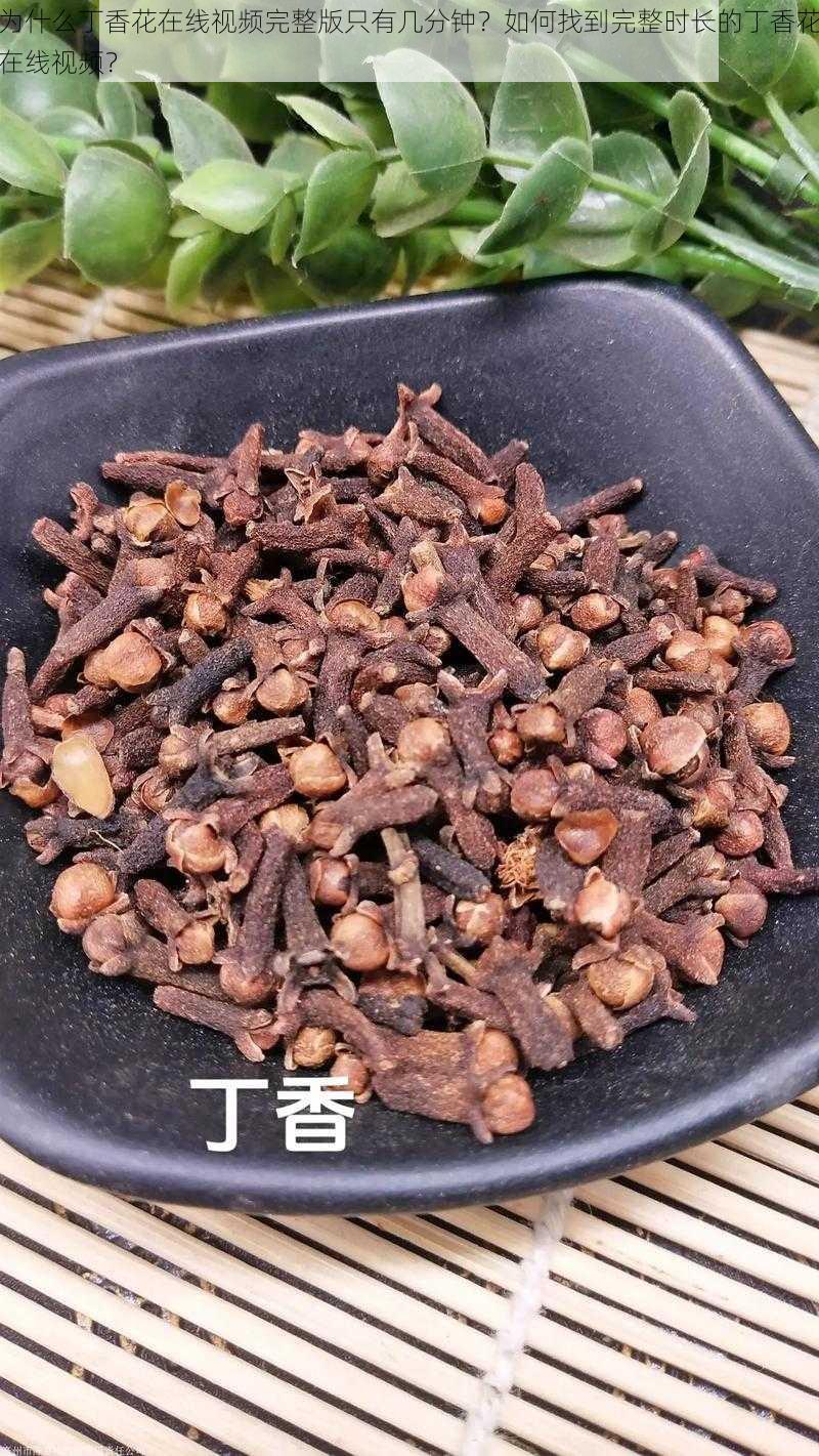 为什么丁香花在线视频完整版只有几分钟？如何找到完整时长的丁香花在线视频？