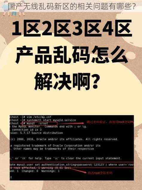 国产无线乱码新区的相关问题有哪些？