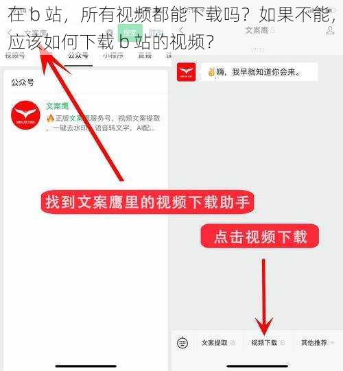 在 b 站，所有视频都能下载吗？如果不能，应该如何下载 b 站的视频？