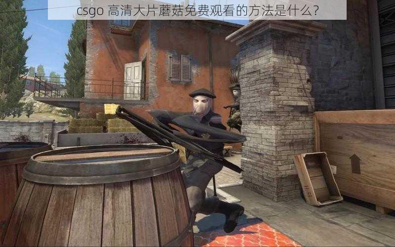 csgo 高清大片蘑菇免费观看的方法是什么？