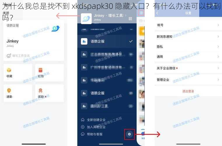 为什么我总是找不到 xkdspapk30 隐藏入口？有什么办法可以找到吗？