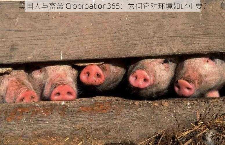 美国人与畜禽 Croproation365：为何它对环境如此重要？