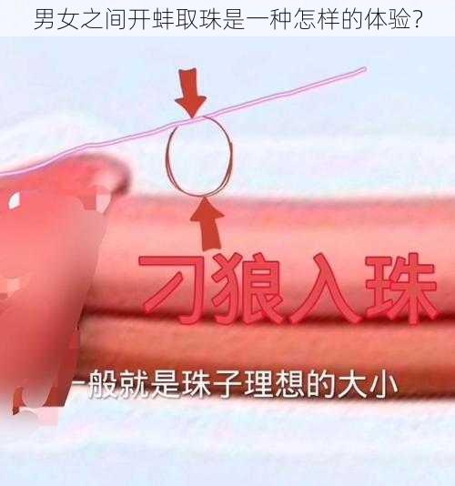 男女之间开蚌取珠是一种怎样的体验？