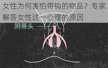 女性为何害怕带钩的物品？专家解答女性这一心理的原因