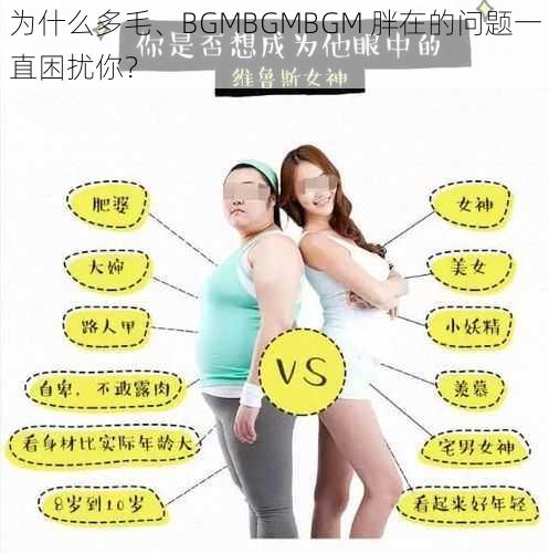 为什么多毛、BGMBGMBGM 胖在的问题一直困扰你？