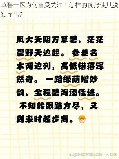 草碧一区为何备受关注？怎样的优势使其脱颖而出？