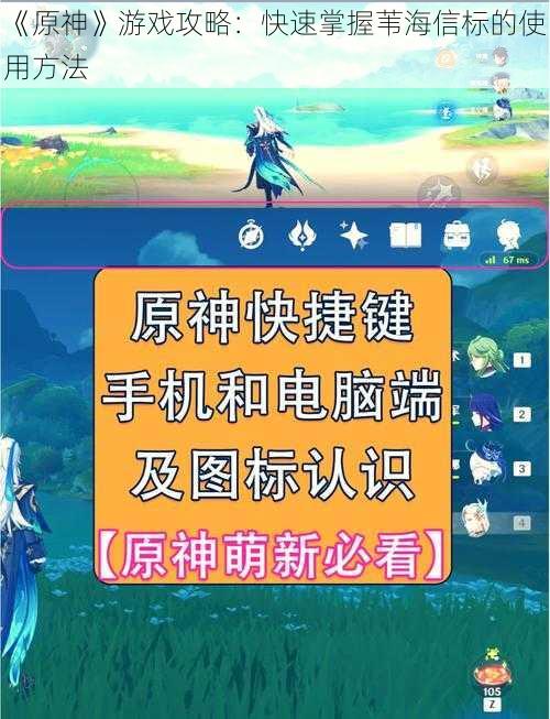 《原神》游戏攻略：快速掌握苇海信标的使用方法