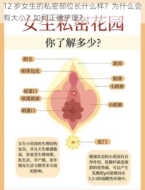 12 岁女生的私密部位长什么样？为什么会有大小？如何正确护理？