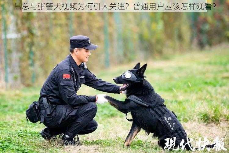 吕总与张警犬视频为何引人关注？普通用户应该怎样观看？