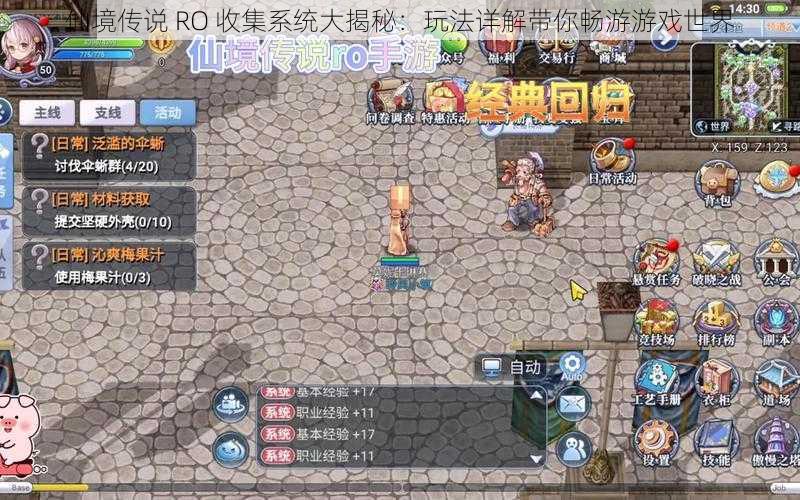 仙境传说 RO 收集系统大揭秘：玩法详解带你畅游游戏世界