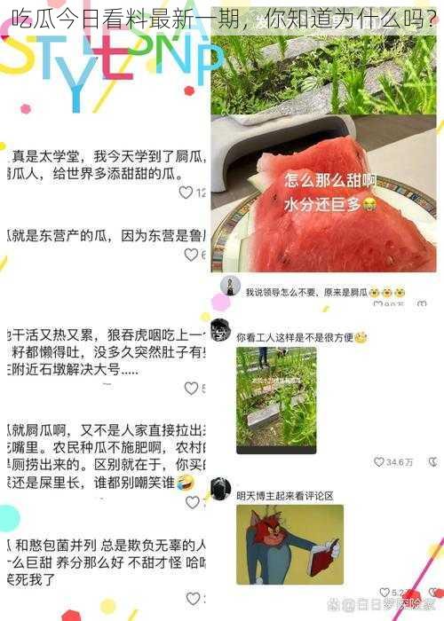 吃瓜今日看料最新一期，你知道为什么吗？