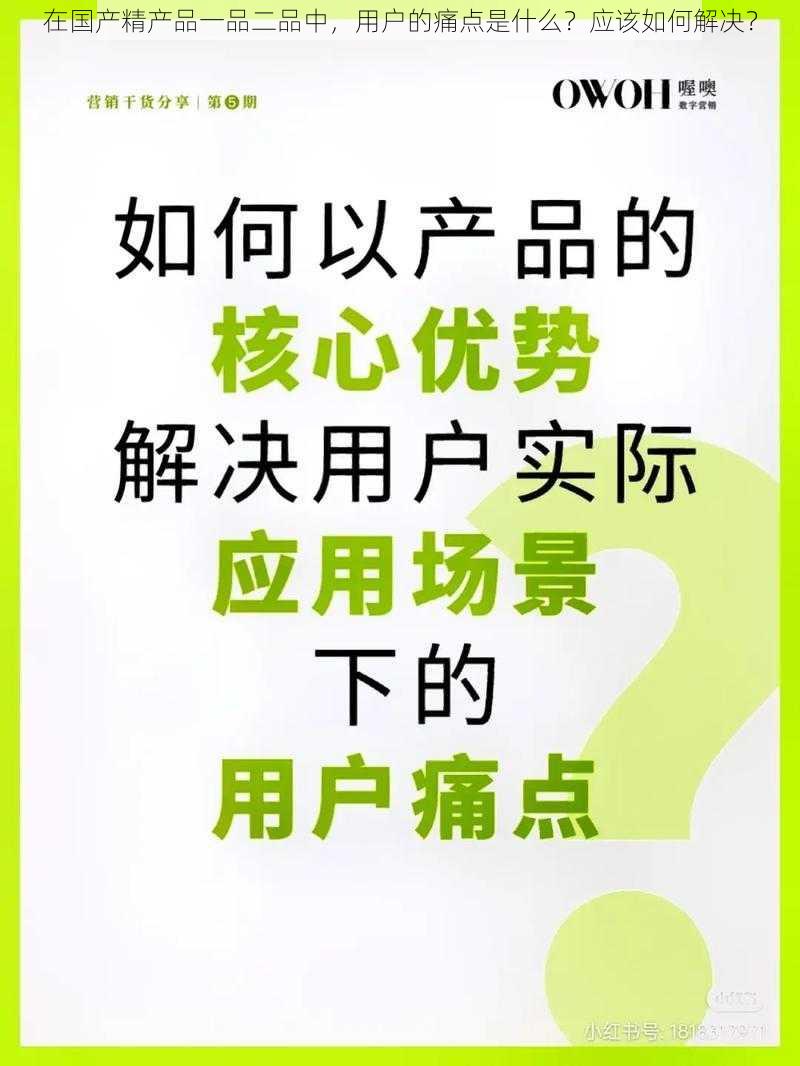 在国产精产品一品二品中，用户的痛点是什么？应该如何解决？