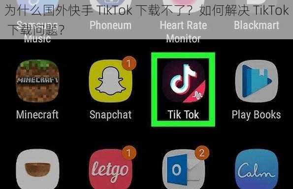 为什么国外快手 TikTok 下载不了？如何解决 TikTok 下载问题？