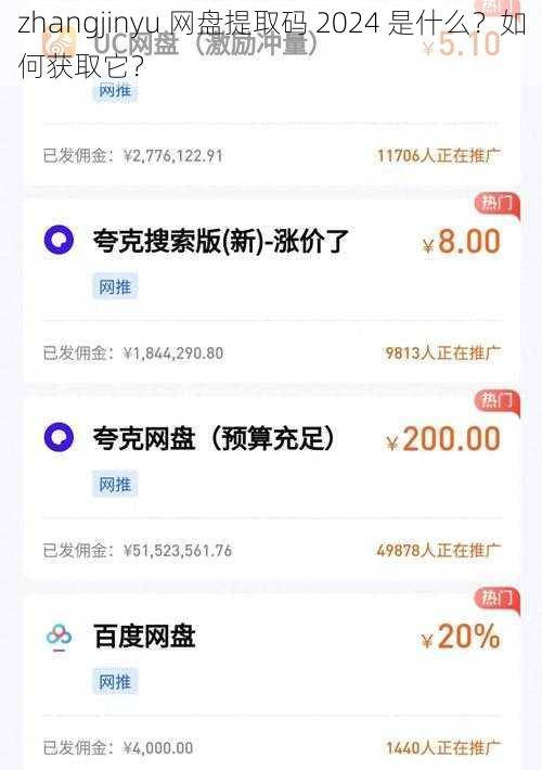 zhangjinyu 网盘提取码 2024 是什么？如何获取它？