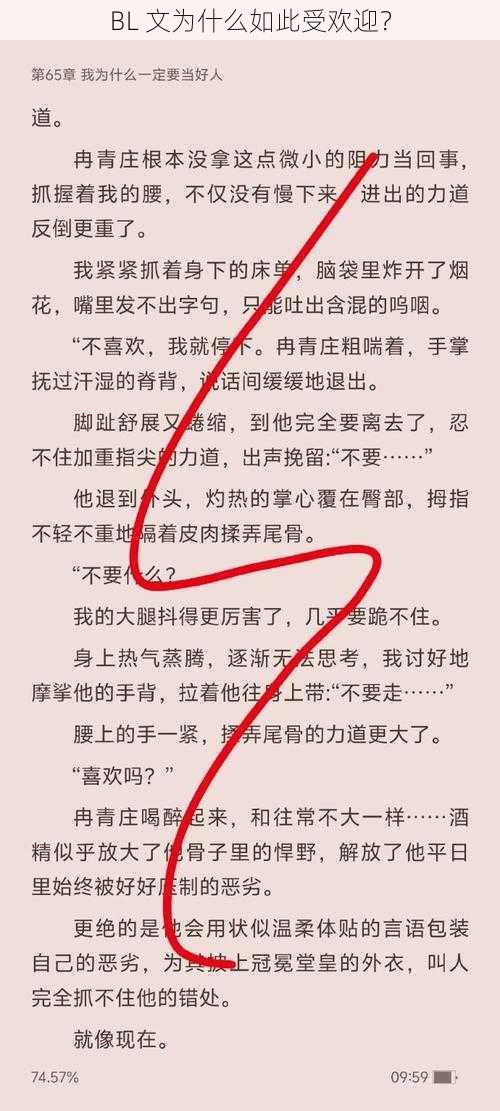 BL 文为什么如此受欢迎？