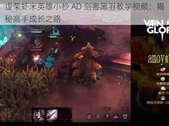 虚荣虾米英雄小抄 AD 剑客黑羽教学视频：揭秘高手成长之路