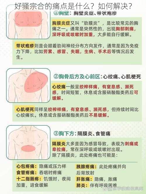 好骚宗合的痛点是什么？如何解决？