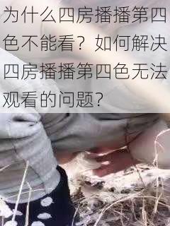 为什么四房播播第四色不能看？如何解决四房播播第四色无法观看的问题？