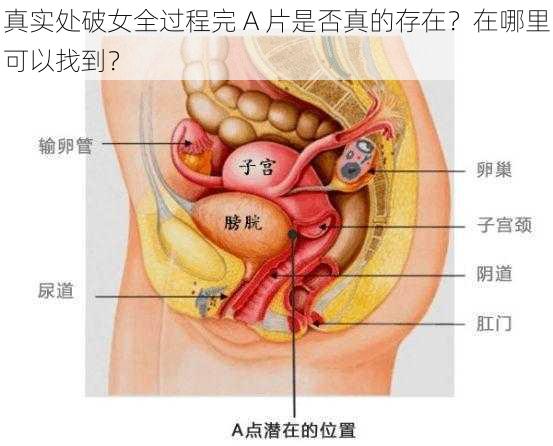 真实处破女全过程完 A 片是否真的存在？在哪里可以找到？