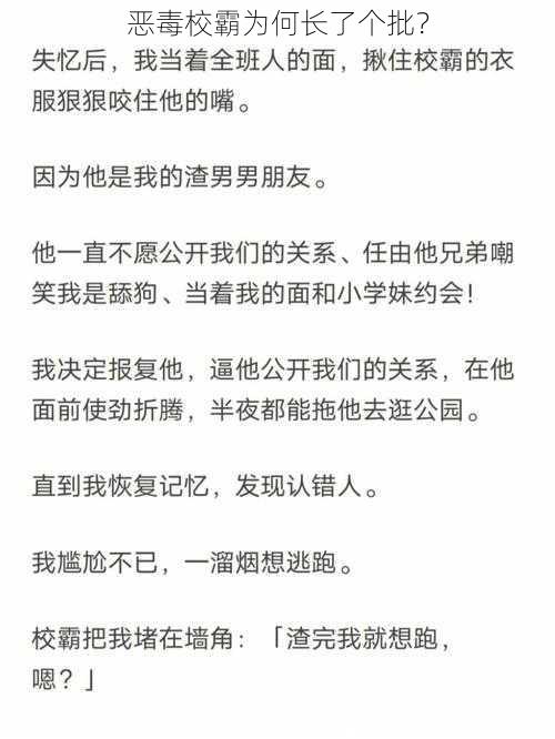 恶毒校霸为何长了个批？