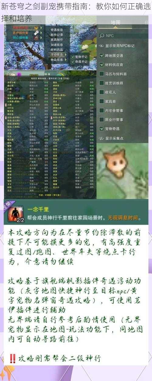 新苍穹之剑副宠携带指南：教你如何正确选择和培养