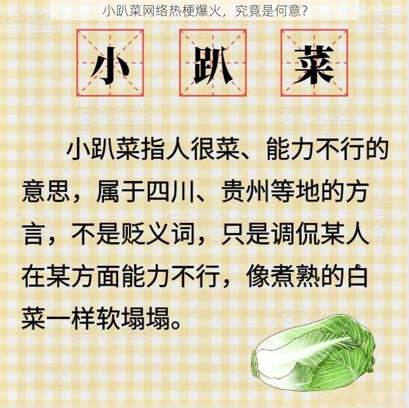 小趴菜网络热梗爆火，究竟是何意？